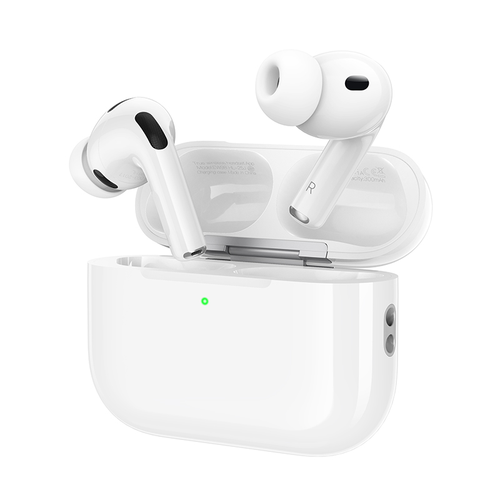 HOCO ANC AI Translation+HR Earbuds (App)